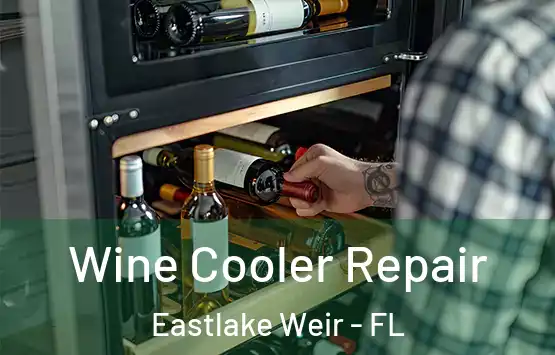  Wine Cooler Repair Eastlake Weir - FL