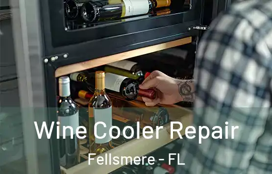  Wine Cooler Repair Fellsmere - FL