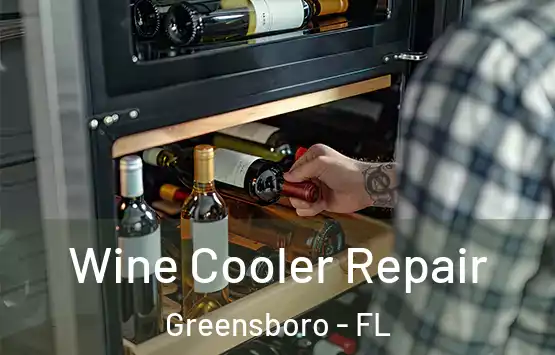  Wine Cooler Repair Greensboro - FL