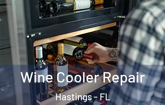  Wine Cooler Repair Hastings - FL