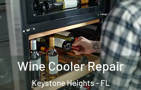  Wine Cooler Repair Keystone Heights - FL