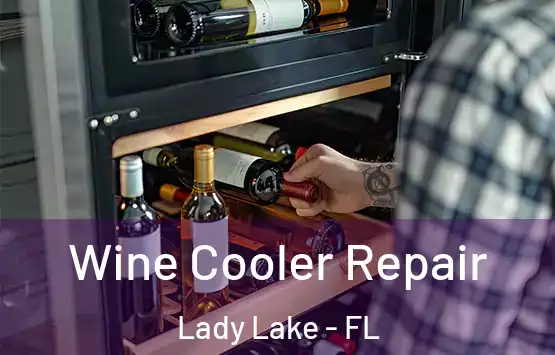  Wine Cooler Repair Lady Lake - FL
