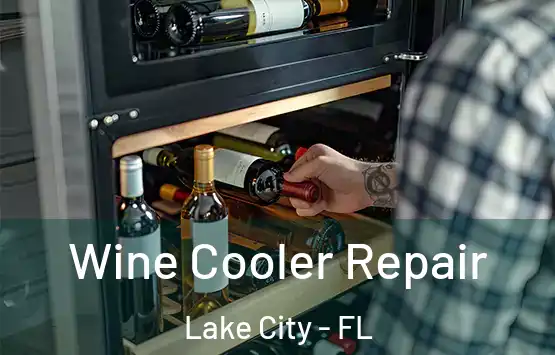  Wine Cooler Repair Lake City - FL