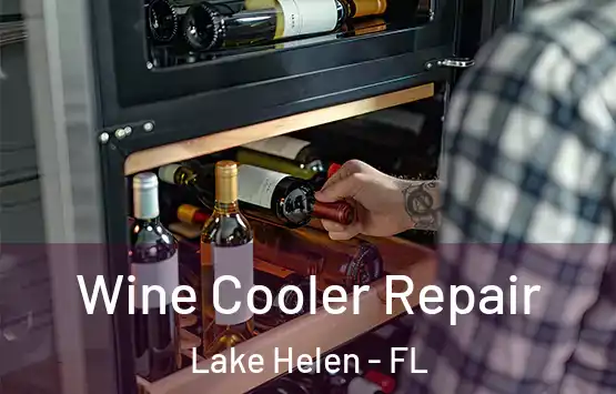  Wine Cooler Repair Lake Helen - FL