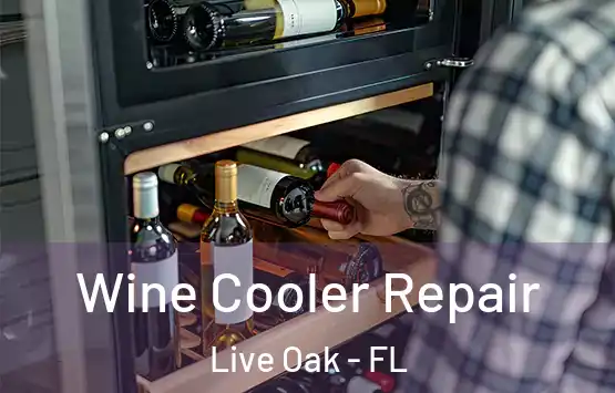  Wine Cooler Repair Live Oak - FL