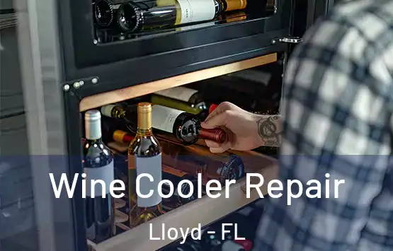  Wine Cooler Repair Lloyd - FL