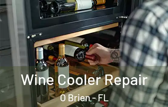  Wine Cooler Repair O Brien - FL
