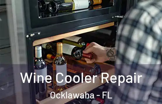  Wine Cooler Repair Ocklawaha - FL