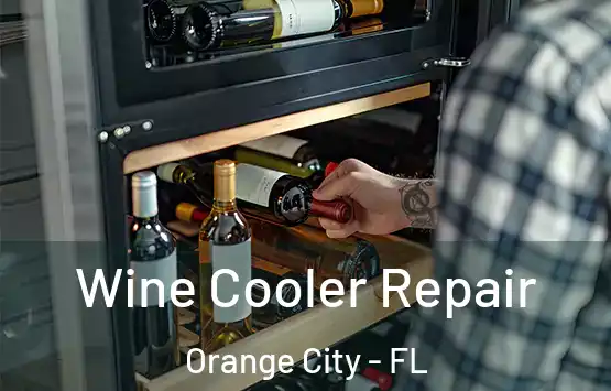  Wine Cooler Repair Orange City - FL