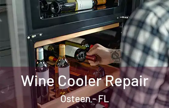  Wine Cooler Repair Osteen - FL