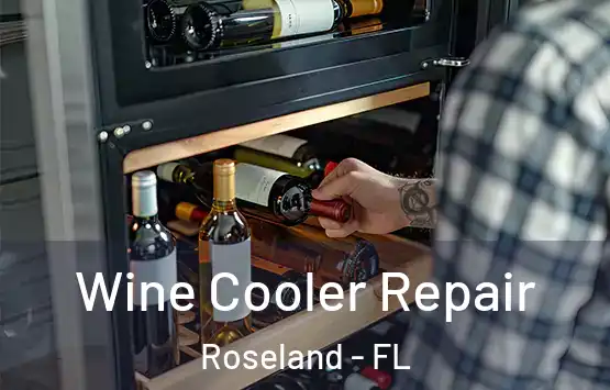 Wine Cooler Repair Roseland - FL