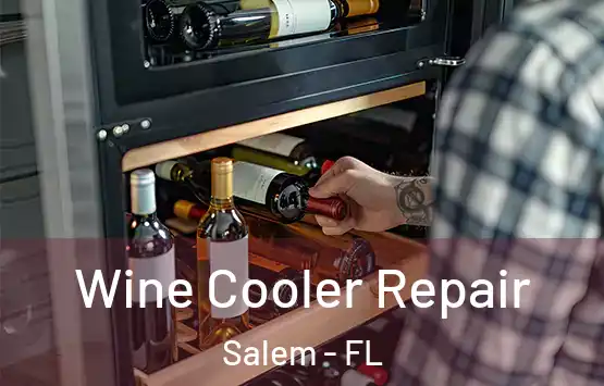  Wine Cooler Repair Salem - FL
