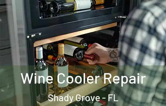  Wine Cooler Repair Shady Grove - FL