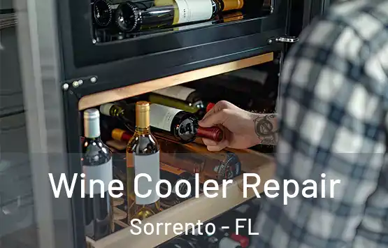  Wine Cooler Repair Sorrento - FL