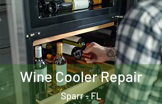  Wine Cooler Repair Sparr - FL