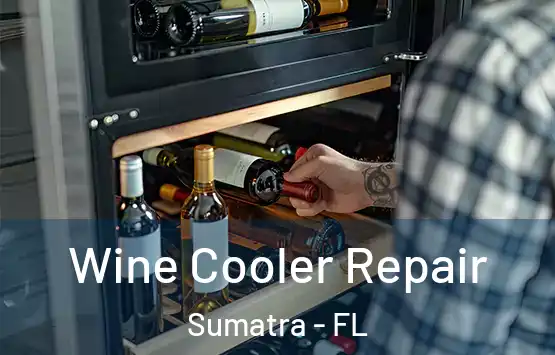  Wine Cooler Repair Sumatra - FL