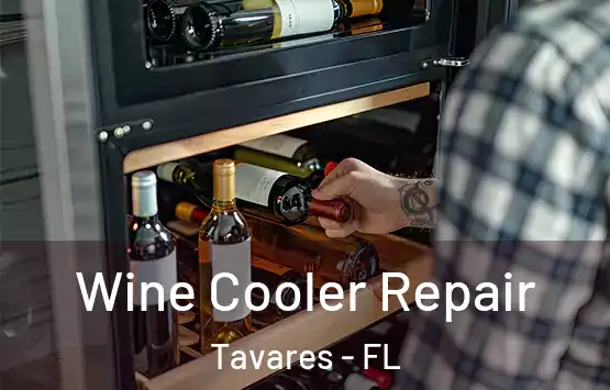  Wine Cooler Repair Tavares - FL