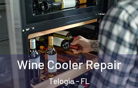  Wine Cooler Repair Telogia - FL