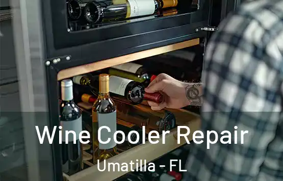  Wine Cooler Repair Umatilla - FL