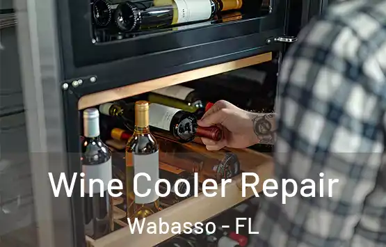  Wine Cooler Repair Wabasso - FL
