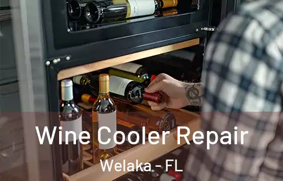  Wine Cooler Repair Welaka - FL