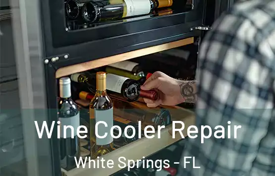  Wine Cooler Repair White Springs - FL
